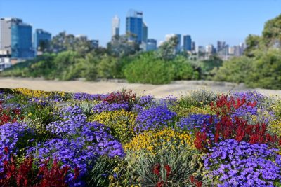 Perth Market Update: Spring