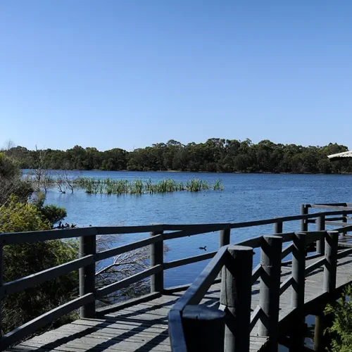 Gwelup Suburb Information, Holdsworth Real Estate Mount Hawthorn & Yokine