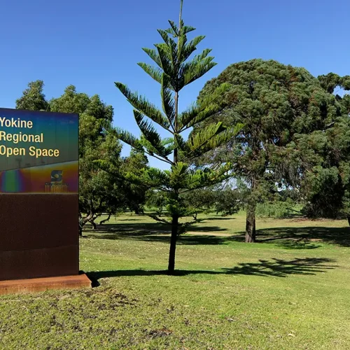 Yokine Suburb Information, Holdsworth Real Estate Mount Hawthorn & Yokine
