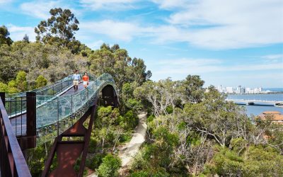 Couple walking on the Lotterywest Federation walkway at Kings Park and Botanical Garden.