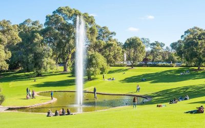 kings-park