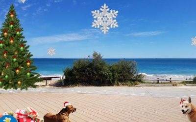 perth xmas