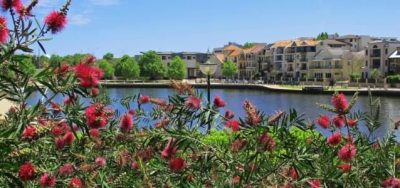 Perth Property Market