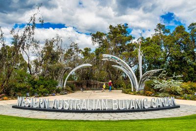 Perth Property Pulse